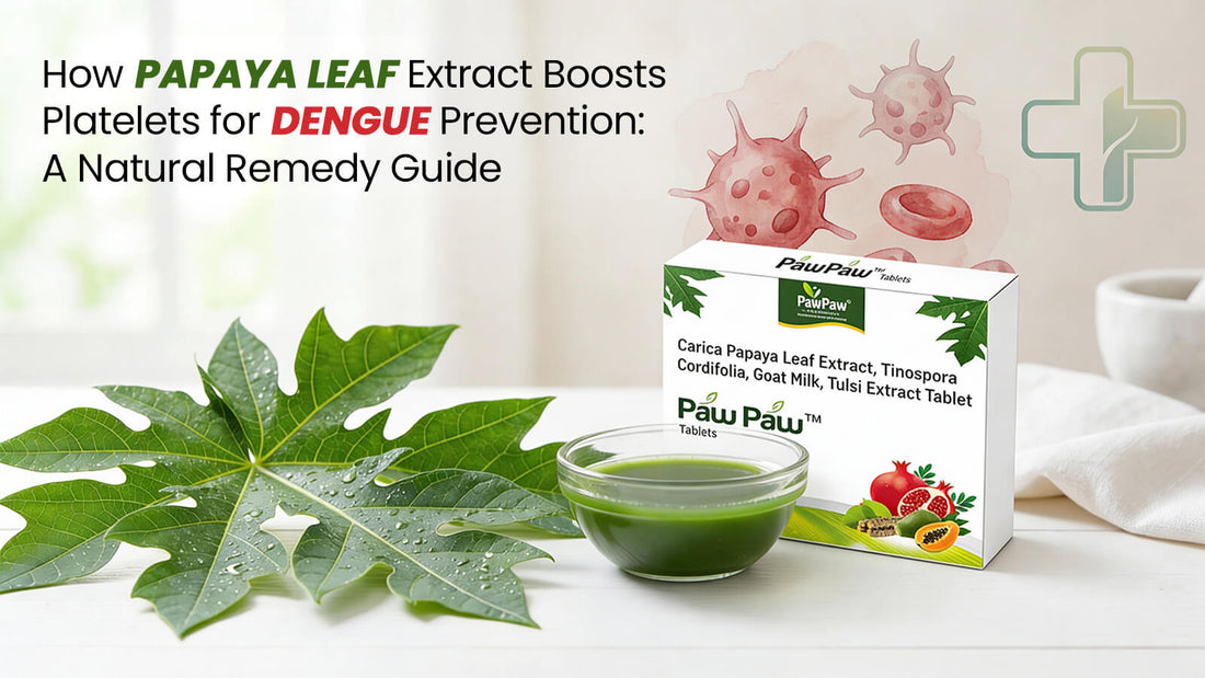 Papaya leaf extract for dengue recovery and platelet support