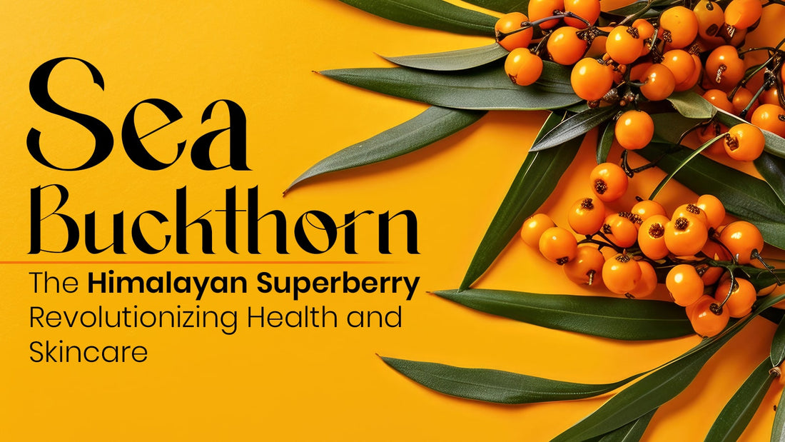 Sea Buckthorn Benefits: The Himalayan Superfruit for Skin, Hair & Health