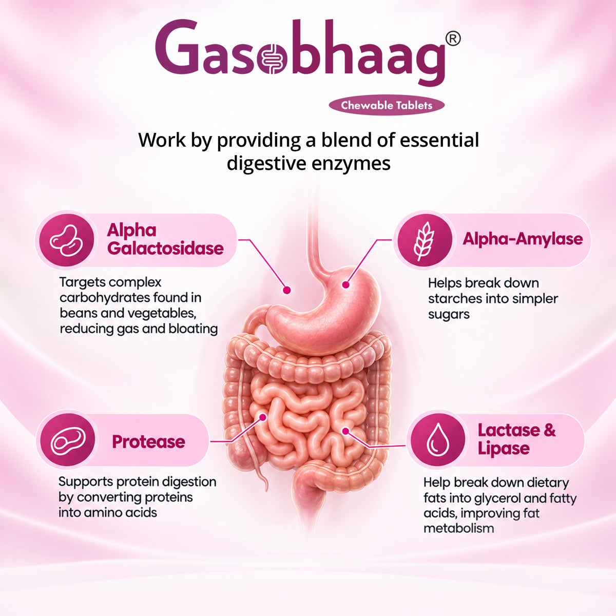 PCHPL wellness Gasobhaag Digestive Enzyme Chewable Tablets