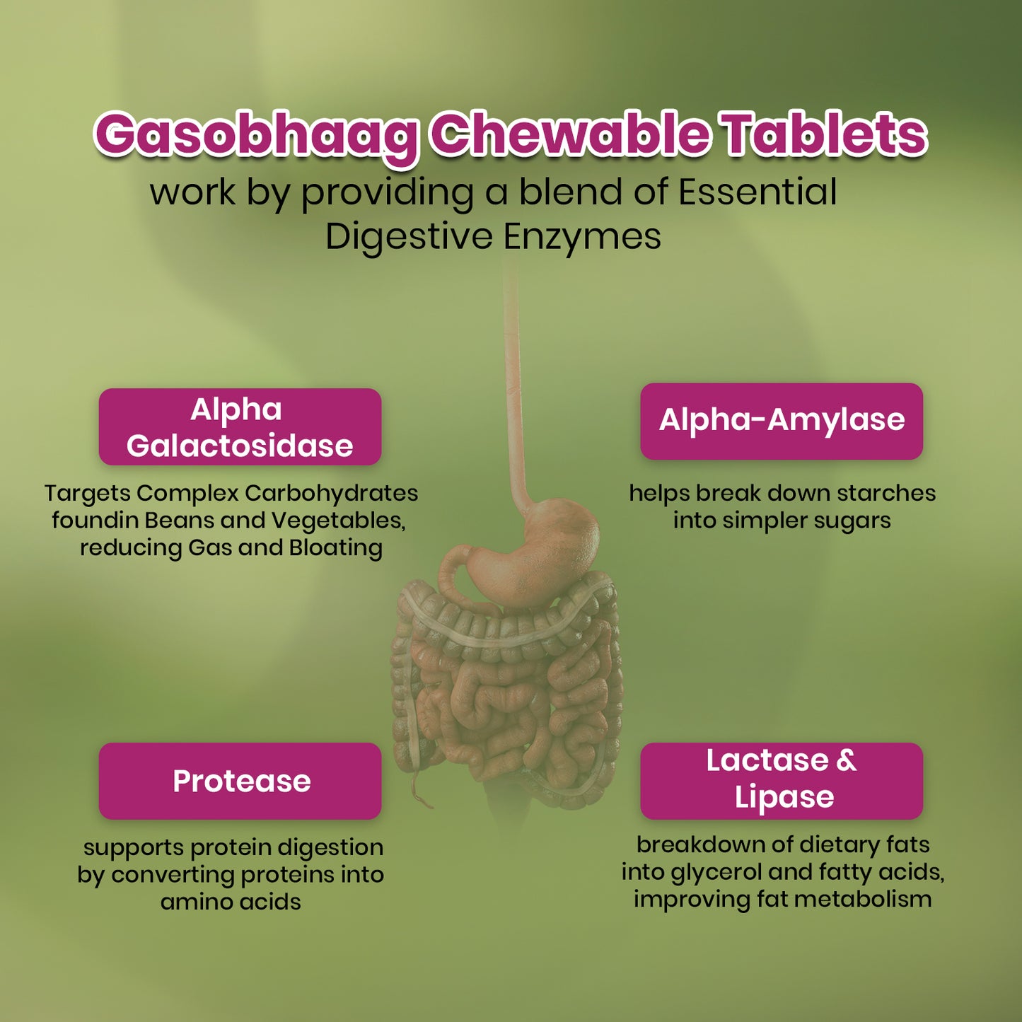 PCHPL wellness Gasobhaag Digestive Enzyme Chewable Tablets