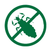 no_head_lice